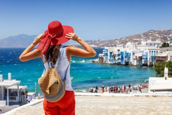 Half-Day Highlights of Mykonos Tour - Tour Itinerary