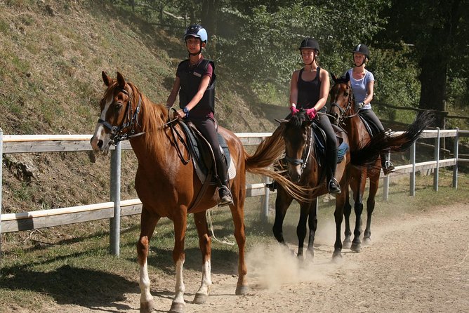 Half-Day Horseback Ride in Tuscany for Beginner Riders - Overview of the Tuscan Countryside Adventure