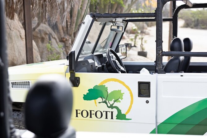 Half-Day Jeep Tour in Aruba - Pickup Points and Cancellation Details