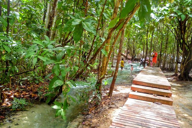 Half-Day Jungle Tour Including Crystal Pool and Krabi Hot Springs - Tour Overview