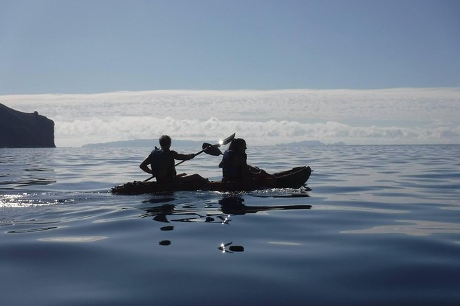 Half Day Kayak Tours - Tour Overview
