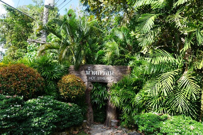 Half Day Krabi Jungle Tour at Hot Spring and Emerald Pool - Tour Highlights