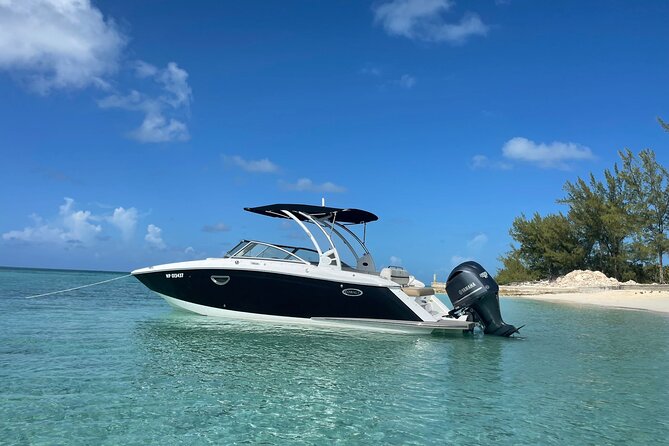 Half-Day Luxury Private Rose Island Pigs and Turtles Excursion - Use of Snorkeling Equipment