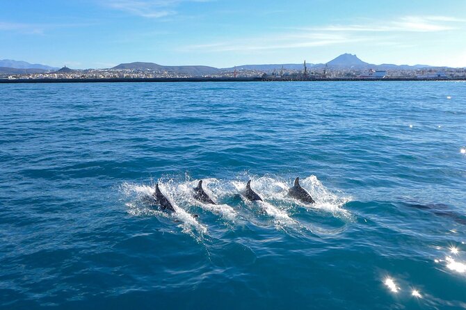 Half-Day Luxury Sailing From Heraklion. Shared - Pricing and Booking