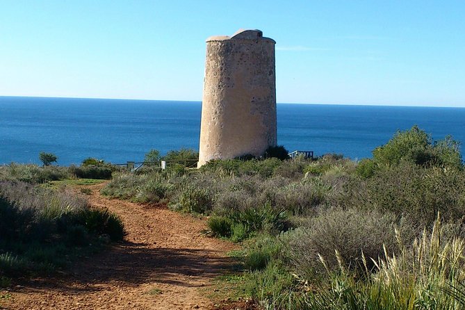 Half-Day Malaga Small-Group Hiking and Snorkeling Tour - Overview of Malagas Natural Wonders