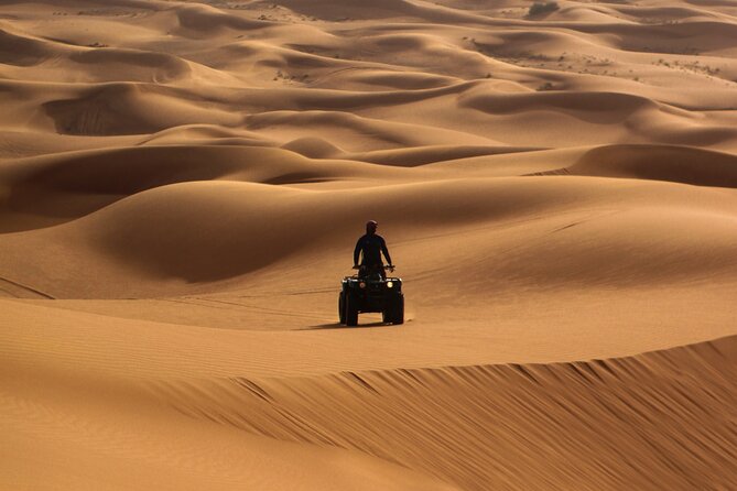 Half-Day Morning Desert Safari in Abu Dhabi - Tour Highlights