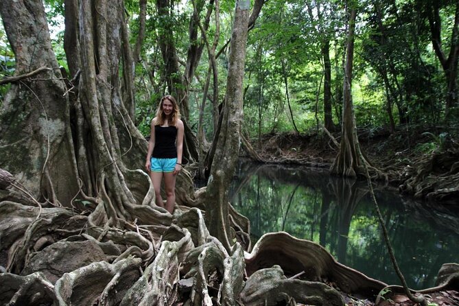 Half Day Northern Roseau Excursion  - Dominica - Excursion Overview