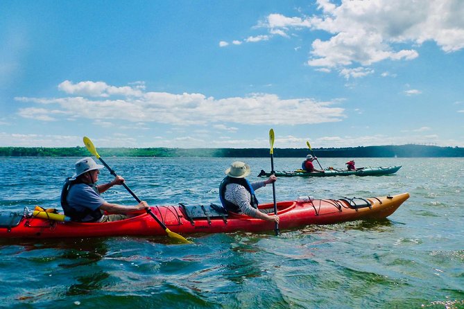Half-Day Orleans Island Small-Group Sea Kayaking Tour - Booking Details