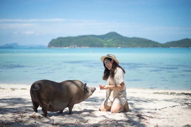 Half-Day Pig Island (Koh Madsum) and Koh Tan Speedboat Tour - Tour Duration and Pickup Details