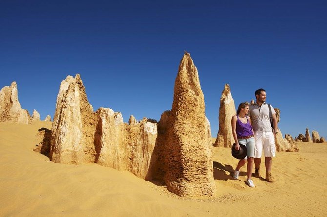 Half Day Pinnacles Sunset Tour - Tour Highlights