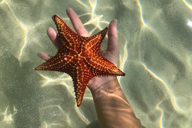 Half Day Private Boat Charter in Grand Cayman - Meeting and Pickup
