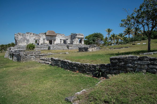 Half-Day Private Guided Tulum and Cenote Tour  - Playa Del Carmen - Tour Overview and Inclusions