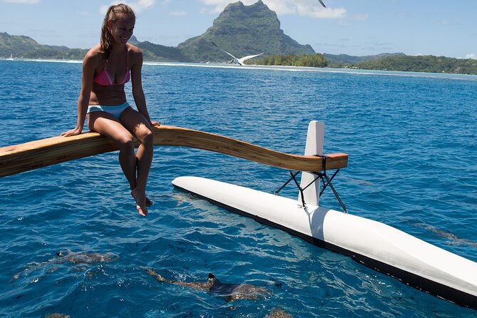 Half Day Private Lagoon Snorkeling Experience - Explore Colorful Corals and Marine Life