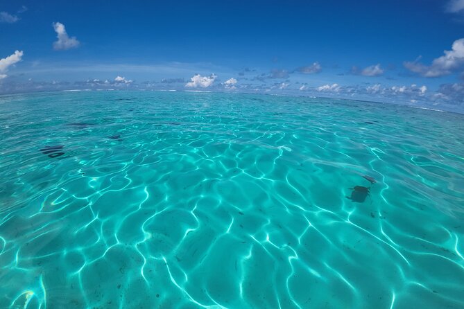 Half-Day Private Lagoon Tour by Boat in French Polynesia - Tour Overview