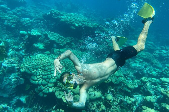 Half Day Private Snorkeling Experience in Aruba BYOFD - Captivating Traveler Photos and Reviews