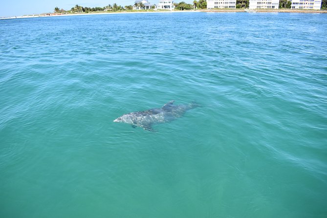 Half-Day Private Tiki Boat Beach Tour From Fort Myers - Tour Overview