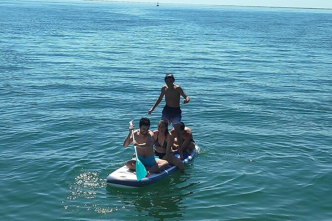 Half-Day Private Tour in Catamaran Ria Formosa - Catamaran Experience