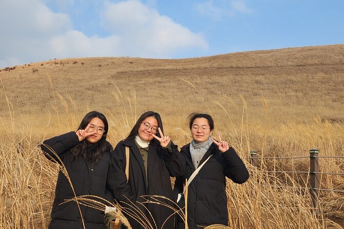 Half-Day Private Tour in Jeju Island With Roundtrip Transfer - Pricing and Reservation Details