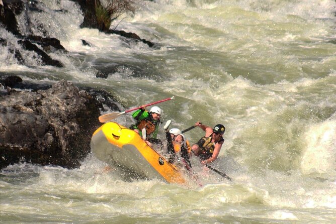 Half Day Rogue River White Water (Class I- IV) - Trip Overview