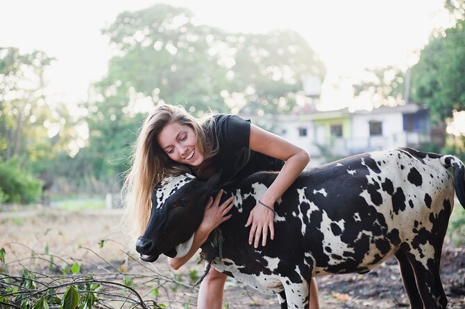 Half-Day San Sebastian Eco Farm Tour and Food Tasting - Inclusions