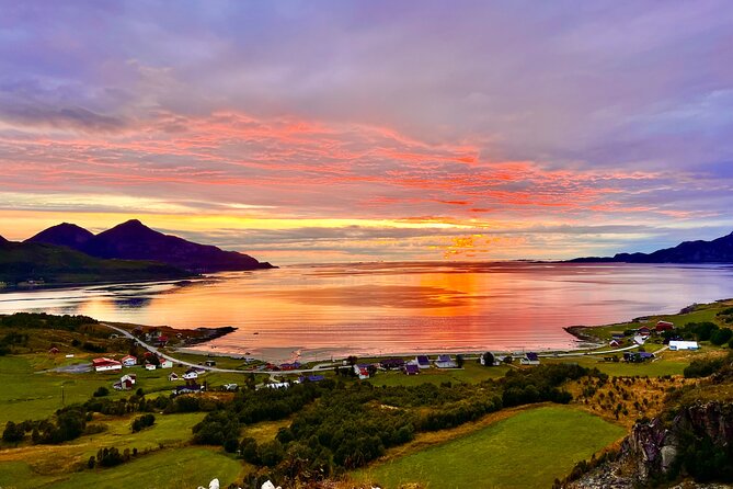 Half-Day Scenic Wildlife & Photographic Fjord Tour. - Wildlife Spotting Opportunities