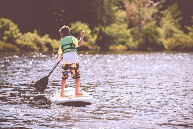 Half-day Stand Up Paddle Tour of Stockholm. - Inclusions