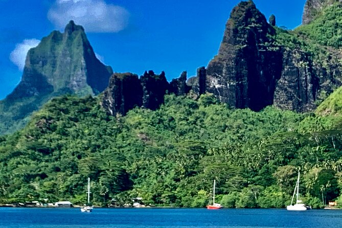 Half-Day Tour of Moorea Island in a Small Group - End Point and Cancellation Policy
