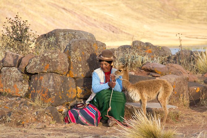 Half Day Tour to Sillustani From Puno - Convenient Hotel Pick-up and Drop-off