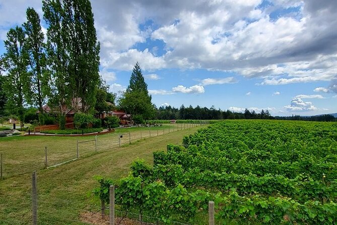 Half-Day Victoria to Cowichan Valley Wine Tour With Tastings - Questions and Booking Information