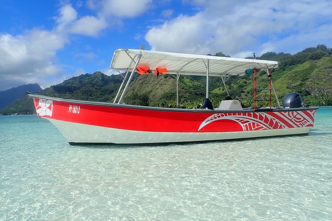 Half-Day Whale Watching and Swimming Tour, Moorea - Pricing and Booking Details