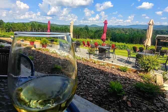 Half-Day Wine Tastings in the North Georgia Mountains - What To Expect