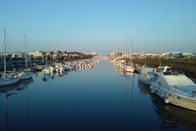 Happy Tour Camargue an Immersion by Bike and Scooter E - Tour Highlights