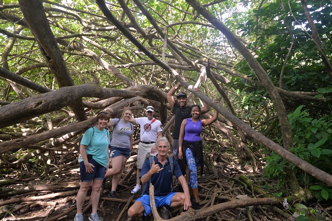 Hawaiian Waterfall Hike - Overview and Details