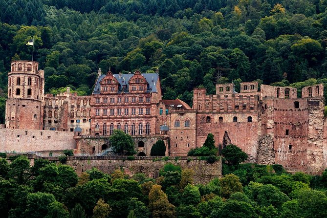 Heidelberg Public Walking Tour With A Professional Guide - Tour Overview