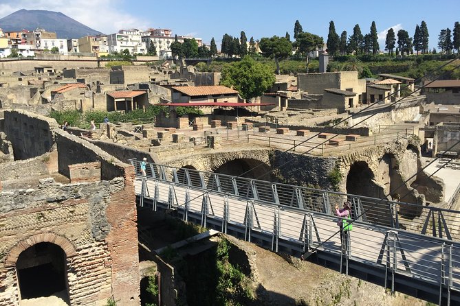 Herculaneum Private Walking Guided Tour 2 Hours - Tour Highlights