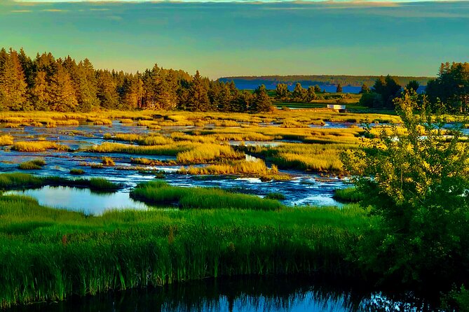 Highlights of Lunenburg: Small-Group Guided Tour  - Halifax - Tour Overview and Highlights