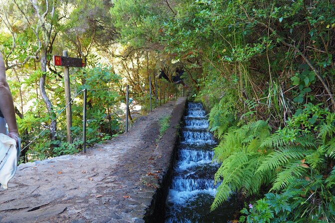 Hike 25 Fontes & Risco Levada Self-Guided - Convenient Pick-up and Drop-off Service