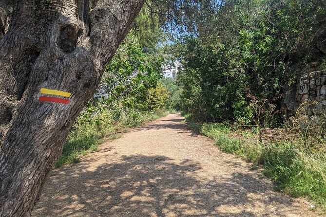 Hike and Panoramic Lunch in Nice - Meeting and Pickup Information