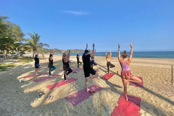 Hike and Yoga Jungle Experience in Mexico - Tour Description
