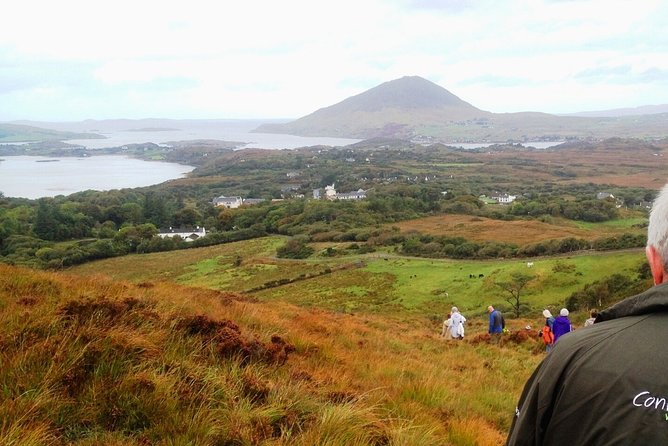 Hike Connemara National Park Depart From Galway City. Galway. Guided. Full Day. - Departure From Galway City