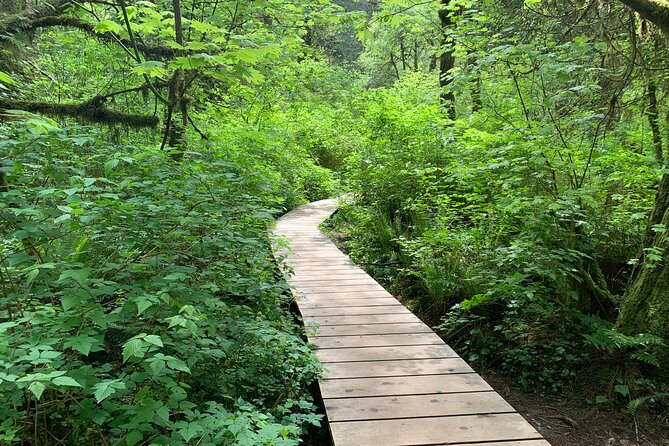 Hike Lynn Canyon and Bike Seymour Demonstration Forest - Trail Options in Lynn Canyon