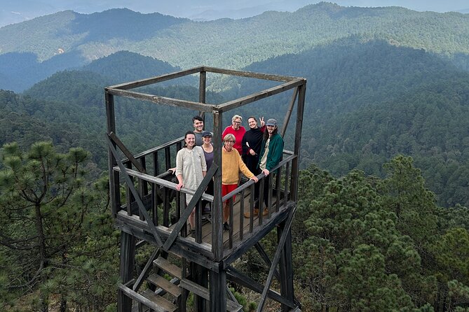 Hike Through the Forest of the Sierra Norte De Oaxaca - What to Expect