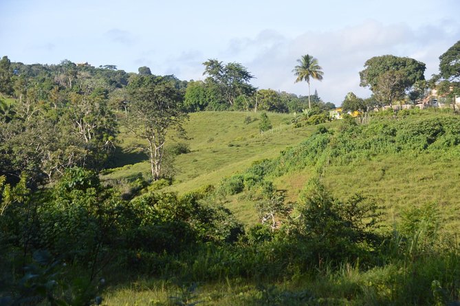 Hike to a Hidden Puerto Rican Waterfall Adventure - Common Questions