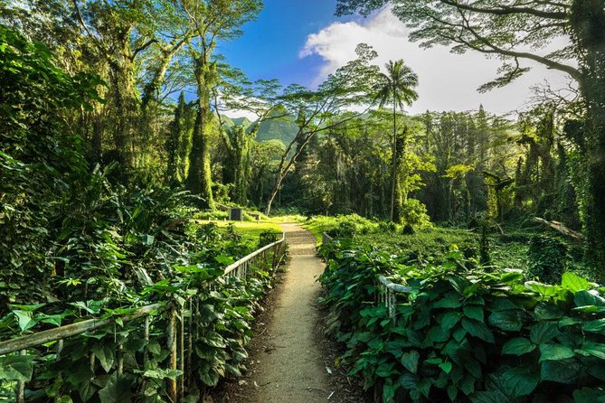 Hike Trail to Waterfall & Nature Walk - Overview of the Hike Trail