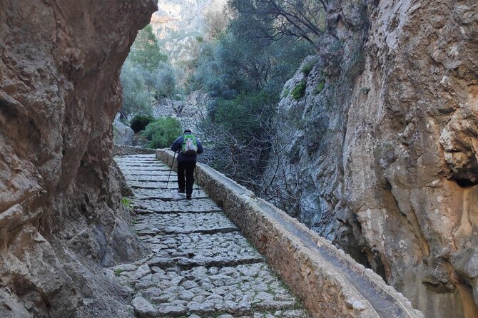 Hiking and Trekking in the Biniaraix Ravine (Soller) - Inclusions
