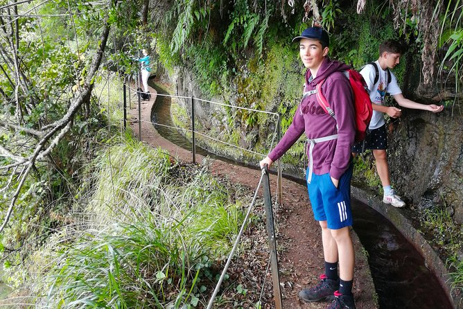 Hiking and Trekking Tours in Madeira - Tour Pricing and Booking