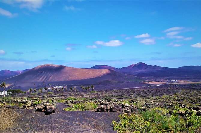 Hiking and Wine Tasting - Top Wine Regions to Explore on Your Hiking Trip