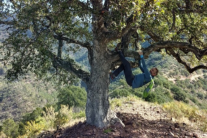 Hiking & Cheese Tasting: Private Tour From Valencia - Tour Pricing and Booking