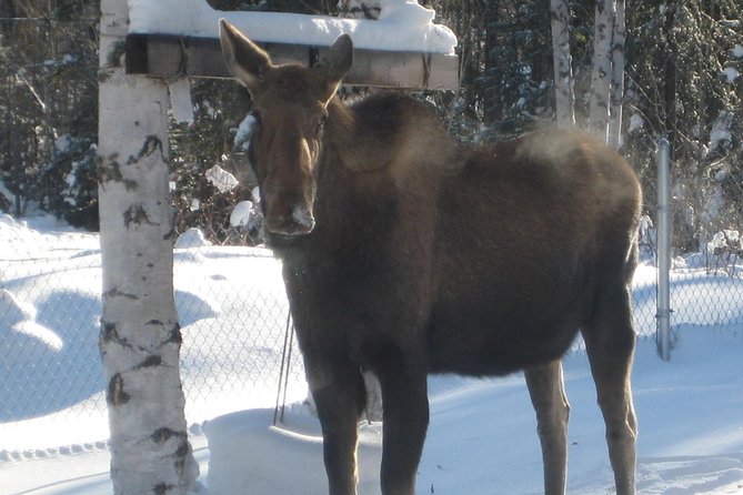 Hiking Expedition at Angel Rocks - Wildlife Spotting