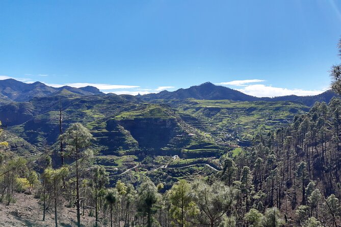 Hiking Experience in the North of Gran Canaria - Duration and Difficulty